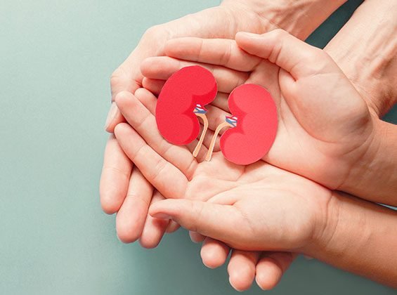 Lifelong Renal Health